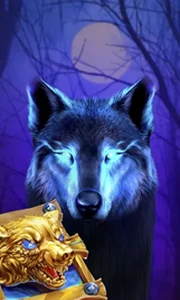 Book Of The Night Wolf