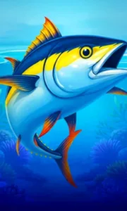 Big Boat Big Catch